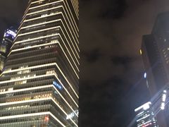 -上海波特曼丽思卡尔顿酒店