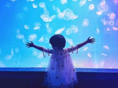 -左海海底世界