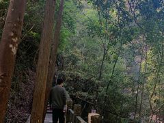 -花岩国家森林公园