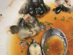 -同庆楼(滨湖万达广场店)