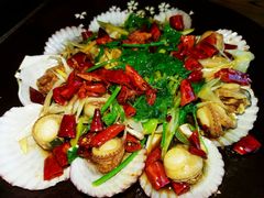 -鲁前海沿儿