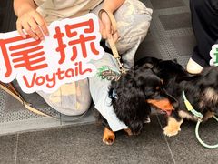 -福田卓悦INTOWN购物中心