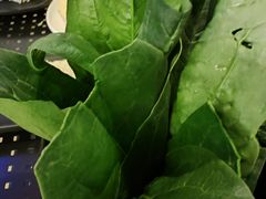 菠菜-东来顺饭庄(王府井步行街店)