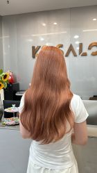 点击看大图 -KS COLOUR漂色·染发·画染