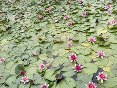 -陕西华浮宫酒店(未央湖公园店)