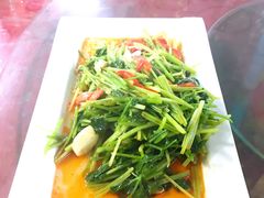 -马白开来特色羊排揪片子  (总店)