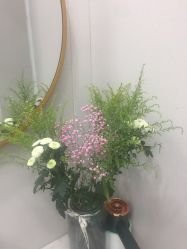 -苗方清颜专业祛痘·皮肤管理
