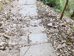 -杭州半山国家森林公园