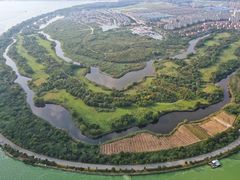 -上海市保健医疗中心