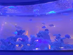 -上和臻品中国菜(花园街店)