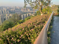 -重庆平顶山公园