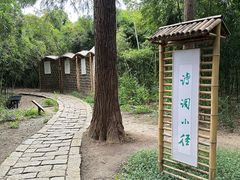 -同里国家湿地公园