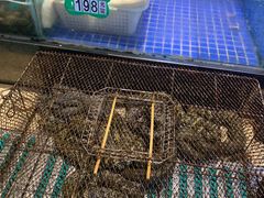-梅林春晓花园餐厅
