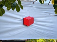 -陆家嘴中心绿地