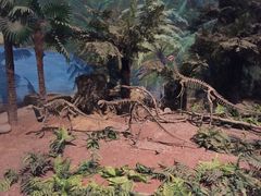 -自贡恐龙博物馆