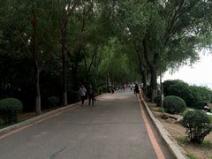 -丁香湖公园