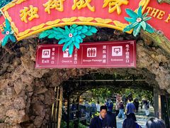 -独树成林