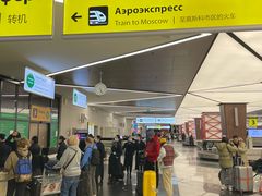 -谢列梅捷沃国际机场