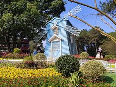 -铁山坪森林公园