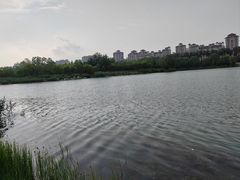 -马家湾湿地公园