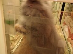 -龙猫仔乐园(惠福东路店)