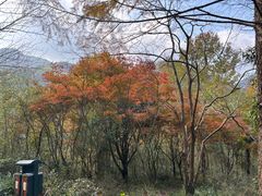 -四明山国家森林公园