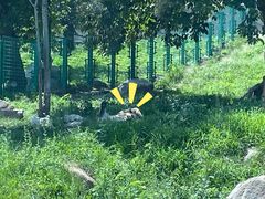 -西安秦岭野生动物园