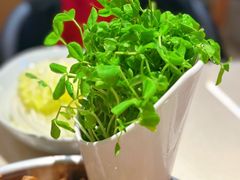 -浩爷羊蝎子火锅(望京店)