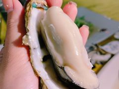 台山川岛大生蚝-台山新孖宝柴火黄鳝饭(三合温泉店)