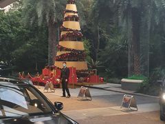 -广州富力丽思卡尔顿酒店