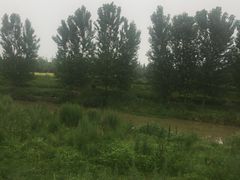 -洨河生态公园
