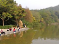 -云溪植物园
