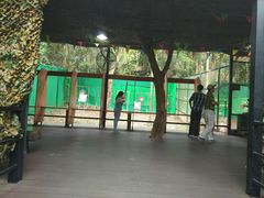 -呀诺达热带雨林