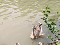 -上海野生动物园