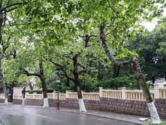 android_upload_pic-八大关景区