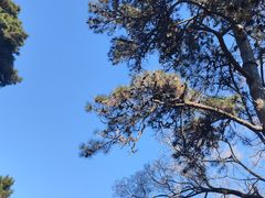 -沈阳市东陵公园
