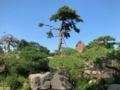 -罗红摄影艺术馆