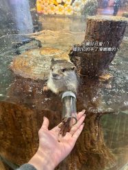 -Zoolung Zoolung动物主题公园(海信广场店)