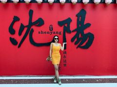 -中街·盛京龙城
