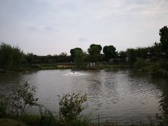 -鹅湖玫瑰文化园