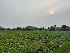 -道林古镇