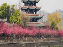 -望江楼公园