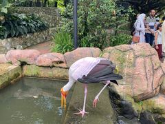 -吉隆坡雀鸟公园