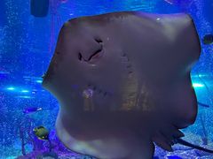 -沈阳海洋探索中心