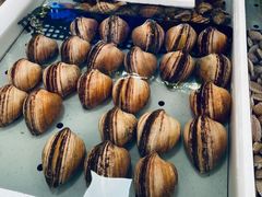 -南沙十九涌渔人码头-南门