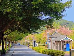 -风云岭森林公园