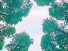 -上海怡沁园度假酒店