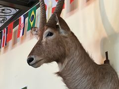 -普兰达德国餐厅·德式脆皮烤猪肘·自酿啤酒(观唐店)