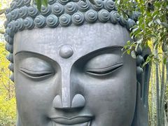 -杭州植物园