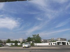 -凌老大童子鸡(新西门路店)